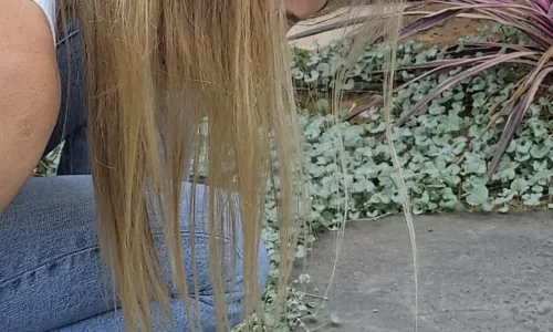 בקבוקי זילוף מוצר משלים לדבק